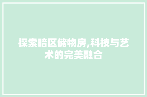 探索暗区储物房,科技与艺术的完美融合