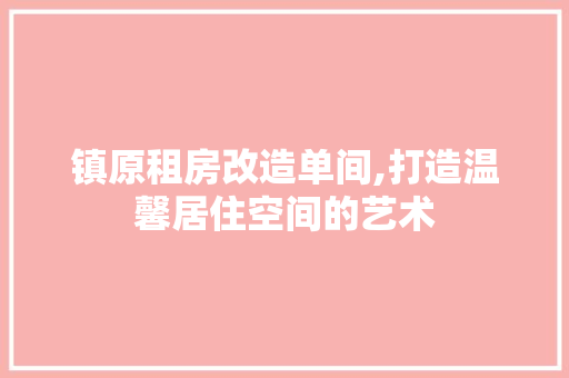 镇原租房改造单间,打造温馨居住空间的艺术