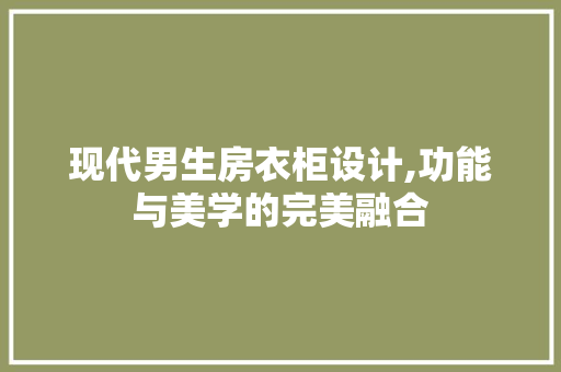 现代男生房衣柜设计,功能与美学的完美融合
