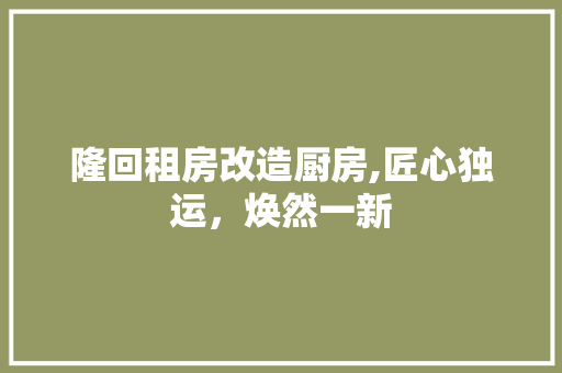 隆回租房改造厨房,匠心独运，焕然一新