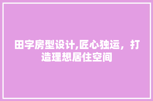 田字房型设计,匠心独运，打造理想居住空间
