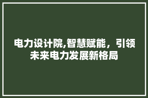 电力设计院,智慧赋能，引领未来电力发展新格局