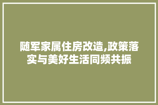 随军家属住房改造,政策落实与美好生活同频共振
