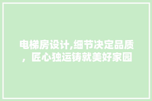 电梯房设计,细节决定品质，匠心独运铸就美好家园