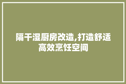 隔干湿厨房改造,打造舒适高效烹饪空间