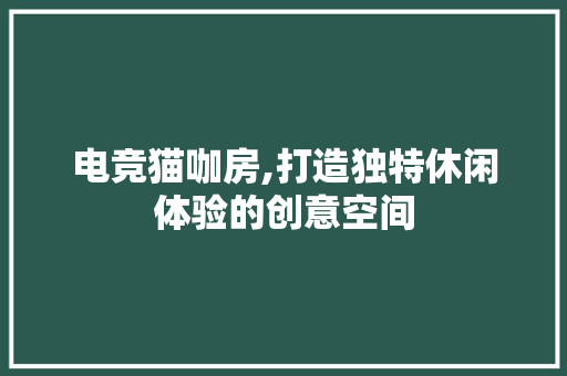 电竞猫咖房,打造独特休闲体验的创意空间