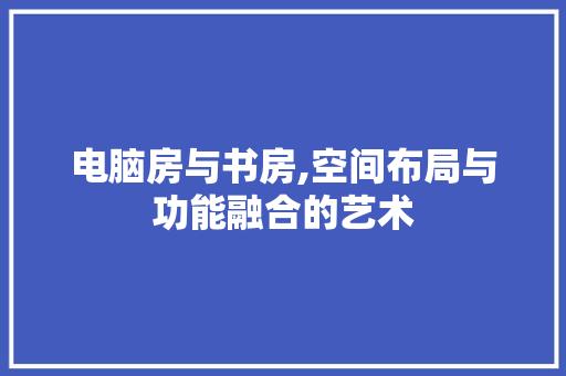电脑房与书房,空间布局与功能融合的艺术