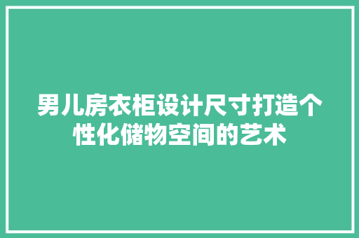 男儿房衣柜设计尺寸打造个性化储物空间的艺术
