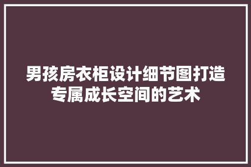 男孩房衣柜设计细节图打造专属成长空间的艺术