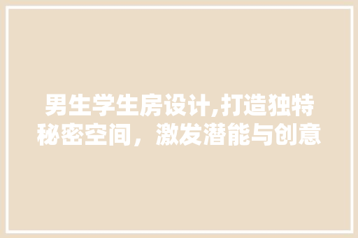男生学生房设计,打造独特秘密空间，激发潜能与创意