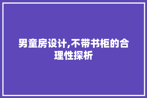 男童房设计,不带书柜的合理性探析