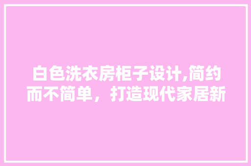 白色洗衣房柜子设计,简约而不简单，打造现代家居新风尚