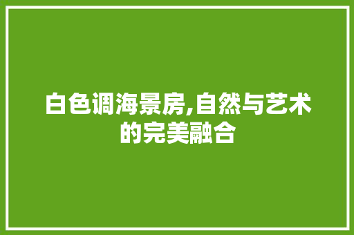 白色调海景房,自然与艺术的完美融合