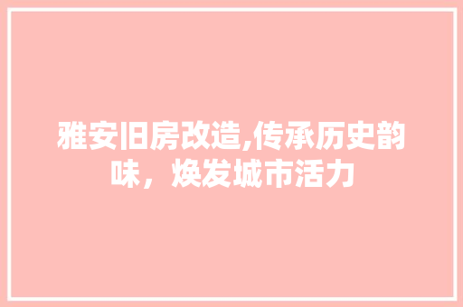 雅安旧房改造,传承历史韵味，焕发城市活力