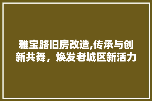 雅宝路旧房改造,传承与创新共舞，焕发老城区新活力