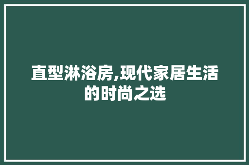 直型淋浴房,现代家居生活的时尚之选