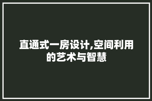 直通式一房设计,空间利用的艺术与智慧