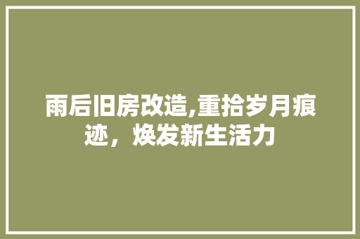 雨后旧房改造,重拾岁月痕迹，焕发新生活力