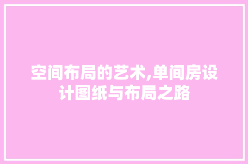 空间布局的艺术,单间房设计图纸与布局之路
