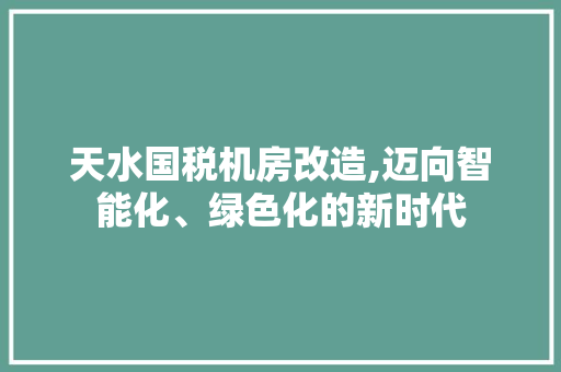 天水国税机房改造,迈向智能化、绿色化的新时代