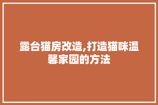 露台猫房改造,打造猫咪温馨家园的方法