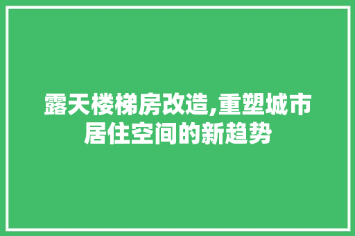 露天楼梯房改造,重塑城市居住空间的新趋势