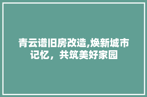 青云谱旧房改造,焕新城市记忆，共筑美好家园