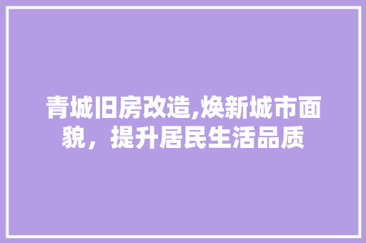 青城旧房改造,焕新城市面貌，提升居民生活品质