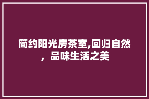 简约阳光房茶室,回归自然，品味生活之美