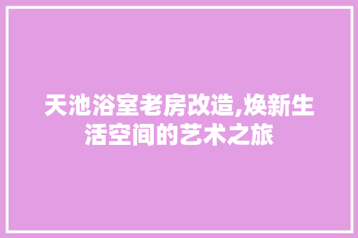 天池浴室老房改造,焕新生活空间的艺术之旅