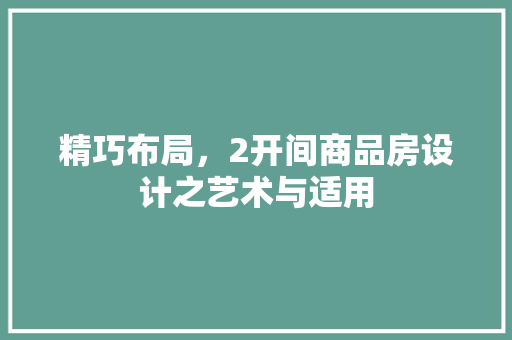 精巧布局，2开间商品房设计之艺术与适用