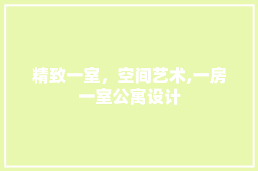 精致一室，空间艺术,一房一室公寓设计
