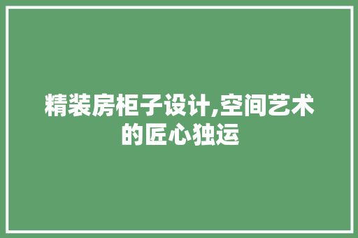 精装房柜子设计,空间艺术的匠心独运