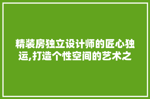 精装房独立设计师的匠心独运,打造个性空间的艺术之旅