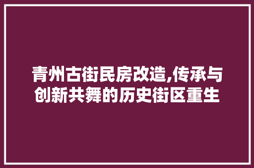 青州古街民房改造,传承与创新共舞的历史街区重生