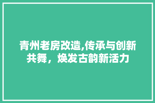 青州老房改造,传承与创新共舞，焕发古韵新活力