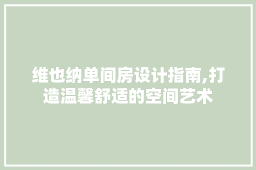 维也纳单间房设计指南,打造温馨舒适的空间艺术