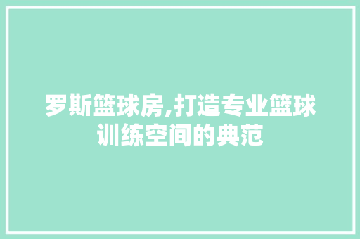 罗斯篮球房,打造专业篮球训练空间的典范