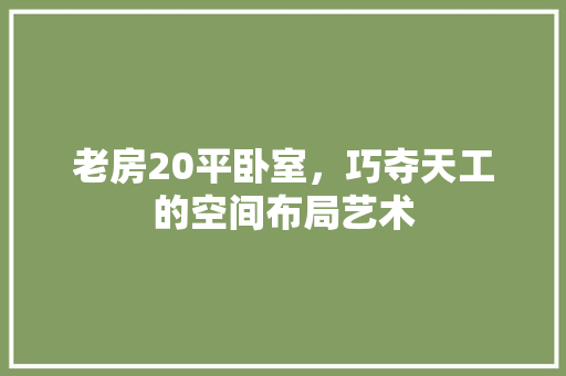 老房20平卧室，巧夺天工的空间布局艺术