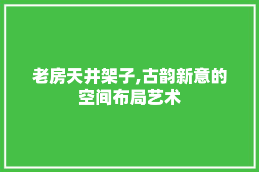 老房天井架子,古韵新意的空间布局艺术