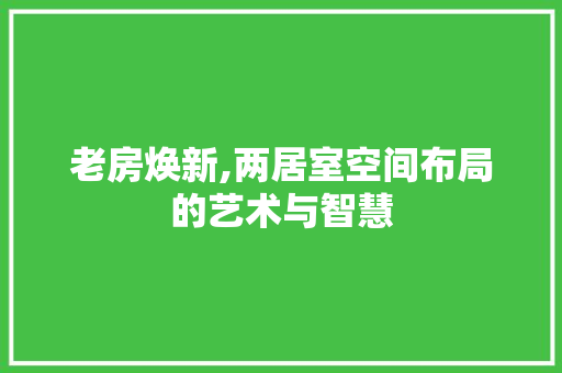 老房焕新,两居室空间布局的艺术与智慧