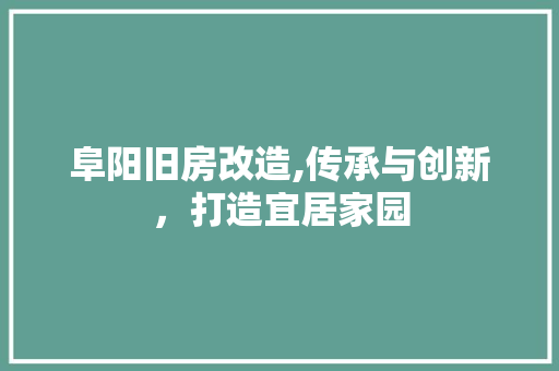阜阳旧房改造,传承与创新，打造宜居家园