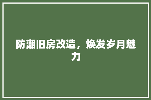 防潮旧房改造，焕发岁月魅力