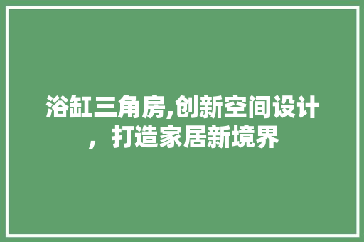 浴缸三角房,创新空间设计，打造家居新境界
