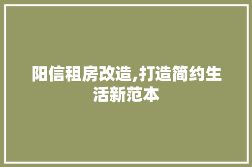 阳信租房改造,打造简约生活新范本