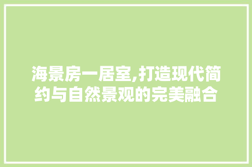 海景房一居室,打造现代简约与自然景观的完美融合