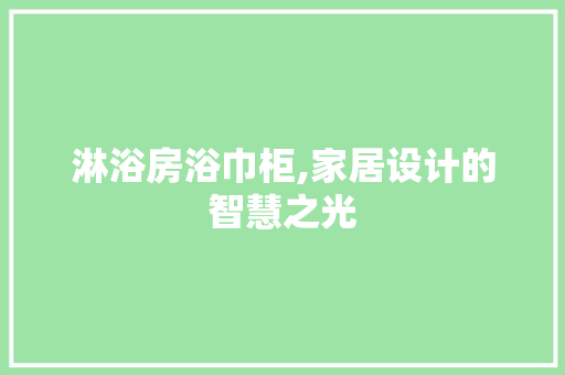 淋浴房浴巾柜,家居设计的智慧之光