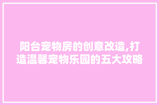 阳台宠物房的创意改造,打造温馨宠物乐园的五大攻略