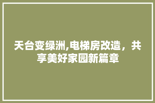 天台变绿洲,电梯房改造，共享美好家园新篇章
