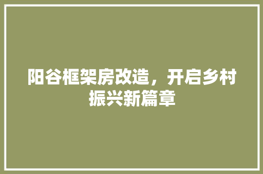 阳谷框架房改造，开启乡村振兴新篇章